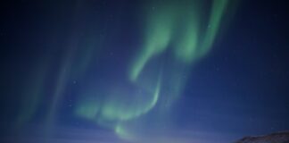 Svarīgi, Grenlande, ASV, Donalds Tramps. Džefs Landrijs, diplomātiskie strīdi, Larss Loke Rasmusens, Jenss Frederiks Nīlsens