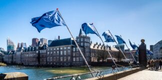 Svarīgi, Grenlande, Lielbritānija, NATO, Vācija, Johans Vādefūls, Heidija Aleksandra, Donalds Tramps, ASV, Arktika,