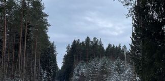 laikapstākļi Latvijā, laika prognoze, sniegs Latvijā, atkala, slideni ceļi, ziemas laikapstākļi, snigšana, laikapstākļi brīvdienās, sals Latvijā, laika prognoze nedēļai, laikapstākļi piekrastē, gaisa temperatūra, sinoptiķu prognoze