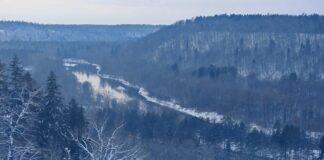 laikapstākļi Latvijā, sals, sniegs, laika prognoze