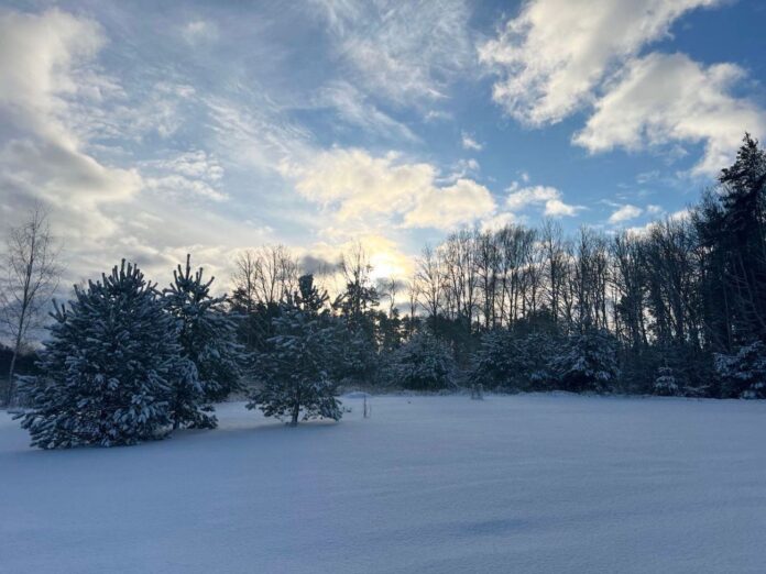 laikapstākļi Latvijā, brīvdienu laikapstākļi, sniegs Latvijā, sals līdz –20, vēja brāzmas, ciklons Austrumeiropā, anticiklons, ziemas prognoze