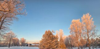 laikapstākļi Latvijā, laika prognoze, stiprs sals, sals līdz -24 grādiem, auksts laiks, ziemas laikapstākļi, gaisa temperatūra, sals naktīs, laiks brīvdienās, laiks nākamnedēļ, sinoptiķu prognoze