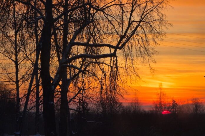 laika prognoze Latvijā, sals Latvijā, aukstums, anticiklons, ziemas laikapstākļi, temperatūra naktī, migla, saulains laiks, laika ziņas, brīvdienu prognoze, stiprs sals