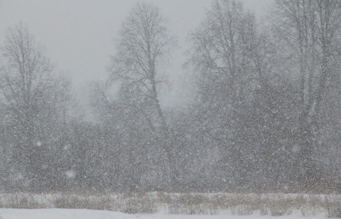 oranžais brīdinājums, sniegputenis Latvijā, laika prognoze, stipra snigšana, 25 cm sniega, putenis Rīgā, brāzmains vējš, neizbraucami ceļi, atkala, Latvijas Vides ģeoloģijas un meteoroloģijas centrs, laikapstākļi piektdien