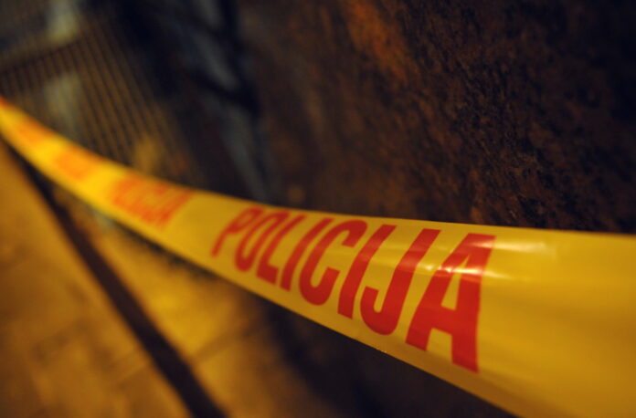 Andra Ļubkas slepkavība, Latgales rajona tiesa, Daugavpils tiesa, Igors Haits, slepkavība Rēzeknē, 18 gadu cietumsods, slepkavība pastiprinošos apstākļos,