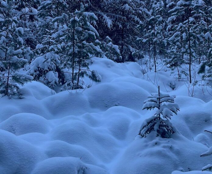 aikapstākļi Latvijā, snigšana trešdien, sals līdz -22 grādiem, sniega sega 10 cm, atkala, slapjš sniegs, ciklons Latvijā, gaisa temperatūra februārī, Latvijas Vides ģeoloģijas un meteoroloģijas centrs, laika prognoze nedēļai