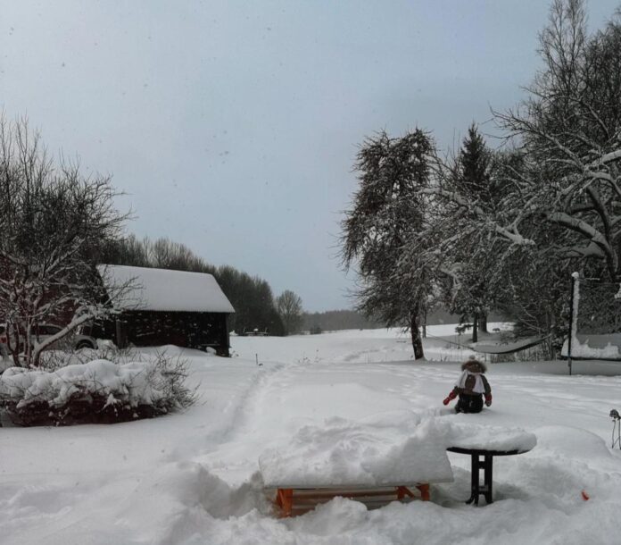 aika prognoze Latvijā, atkusnis, slapjš sniegs, lietus, sals Latvijā, temperatūra, vējš, nedēļas nogales laiks, sinoptiķu prognoze, laikapstākļi februārī