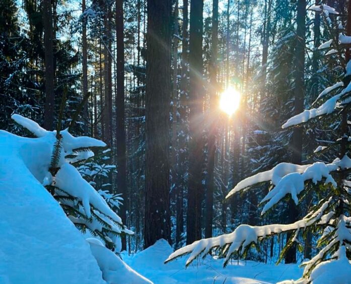 laika prognoze Latvijā, nedēļas nogales laiks, sniegs, slapjš sniegs, lietus, atkusnis, sals, temperatūra Latvijā, brāzmains vējš, gaisa temperatūra, nokrišņi, jaunās nedēļas prognoze