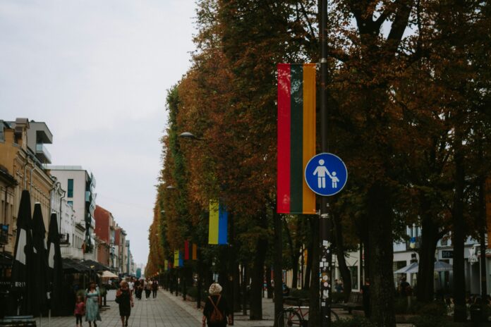 Svarīgi, Lietuva, trešo valstu pilsoņi, pašvaldību vēlēšanas, integrācija, drošība, Laurīns Kaščūns,