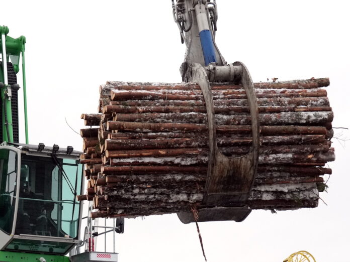 Latvijas valsts meži LVM, kokrūpnieku skandāls Latvija, kriminālprocess LVM, valsts atbalsts kokrūpniekiem, publiskie iepirkumi Latvija, prokuratūra Latvija,