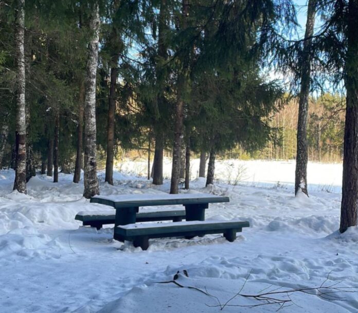 laika prognoze Latvijā, laikapstākļi šonedēļ, sals naktī, slapjš sniegs, lietus Latvijā, migla rietumos, anticiklons Latvijā, gaisa temperatūra, sinoptiķu prognoze, nedēļas nogales laiks, brāzmains vējš piekrastē