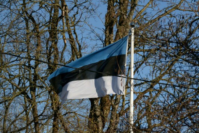 Svarīgi, lidroboti, Igaunija, Āmari Gaisa spēku bāze, karš Ukrainā, Krievija, PPA, Udu Arolds, iznīcinātāji