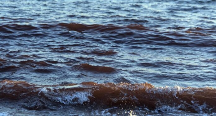 Hormuza šaurums, Latvija NATO, ASV Latvija attiecības, Latvija militārā iesaiste, NATO operācijas, Latvija drošība, ASV drošības garantijas, Irānas konflikts, Latvijas ārpolitika, Rajevskis politologs, Hormuza krīze, starptautiskā drošība, NATO misija, Latvija aizsardzība