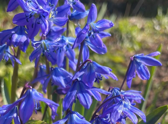 laika prognoze Latvijā, lietus Latvijā, pērkona negaiss, anticiklons Latvijā, brīvdienu laiks, temperatūra Latvijā, sals naktī, vējš Latvijā, ciklons Latvijā