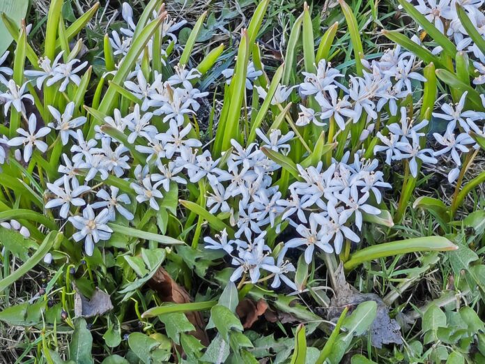 laika prognoze Latvijā, lietus Latvijā, migla Latvijā, nedēļas nogales laiks, temperatūra Latvijā, sinoptiķu prognoze, laikapstākļi aprīlī, vējš Latvijā, nokrišņi Latvijā