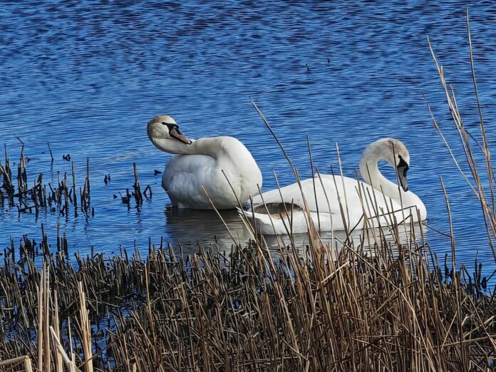 laika prognoze Latvijā, laikapstākļi Latvija nedēļai, slapjš sniegs Latvijā, pērkona negaiss Latvija, anticiklons Latvijā, temperatūra +20 Latvija, vēja brāzmas Latvija