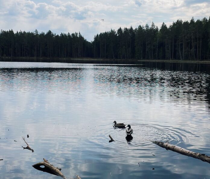 laika ziņas, laikapstākļi Latvijā, lietusgāzes, pērkona negaiss, sinoptiķi, salna, prognoze nedēļas nogalei, laiks ceturtdien, laiks