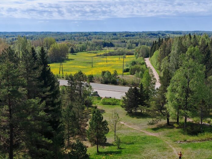 laika ziņas, laiks Latvijā, laika prognoze, nedēļas nogales laiks, salna Latvijā, migla, lietus, gaisa temperatūra, sinoptiķu prognoze, vasarīgs siltums, +20 grādi, laikapstākļi nākamnedēļ, LVĢMC, laika prognoze Latvijā