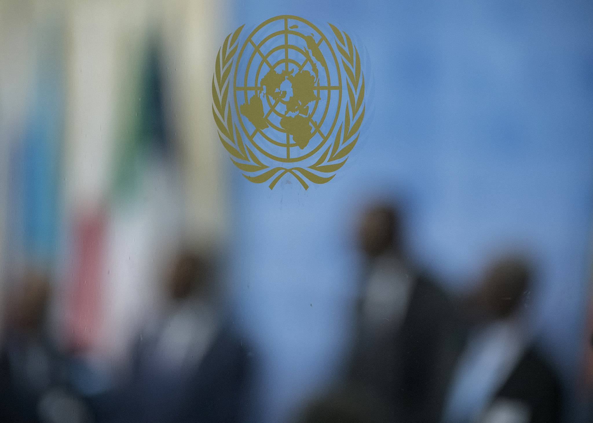 Germany Lost UN Security Council Bid Due to Support for Ukraine and Israel, Says Official