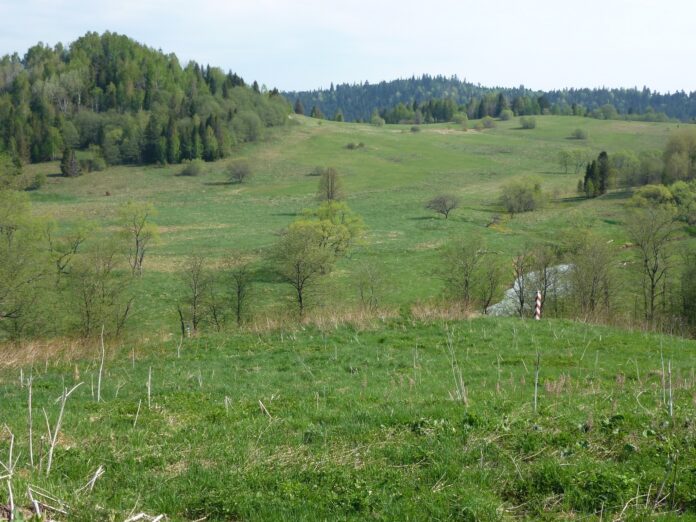 paugurainas pļavas ar upīti vidū