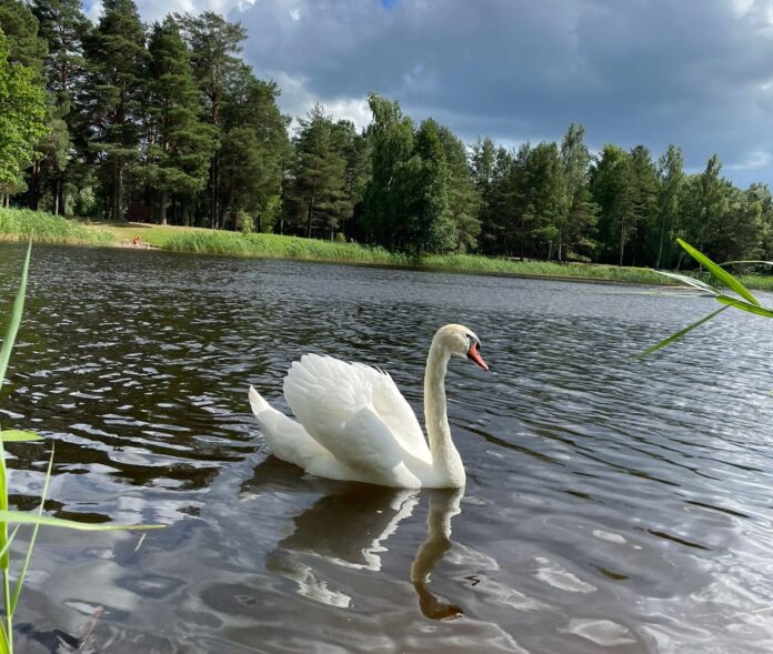 Lietus mākoņi virs Latvijas, tumšas debesis un vējains laiks pirms pērkona negaisa.