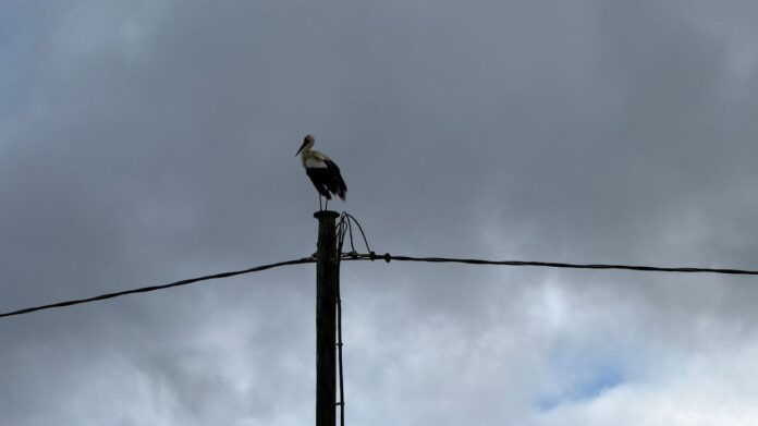 Mākoņainas debesis virs Latvijas pirms siltāka laika iestāšanās nākamnedēļ.