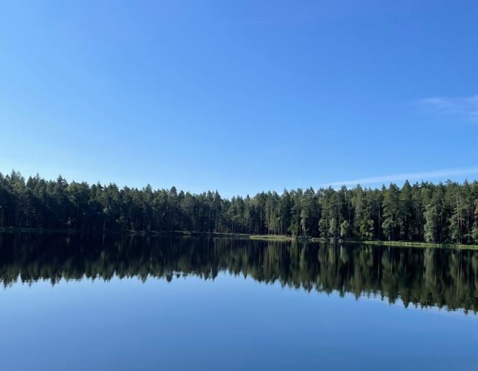 llaika prognoze