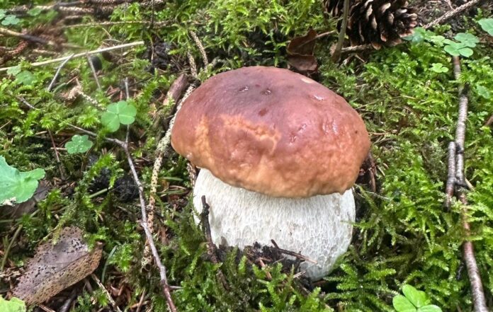 Svētdienas laikapstākļi