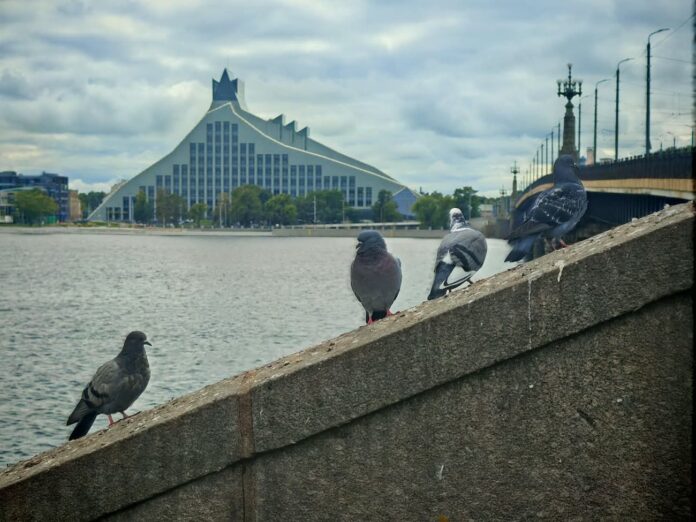 Rīga